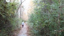 Heritage Park -- a person with a hooded coat walking down a path surrounded by vegetation, is article about Fun in the Park photo contest