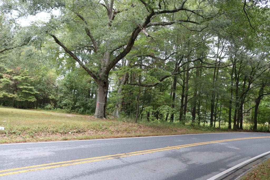 Wooded lot at Buckner and Pebblebrook roads