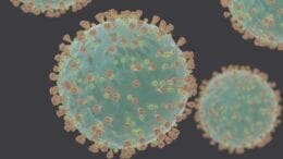 coronavirus under electron microscope