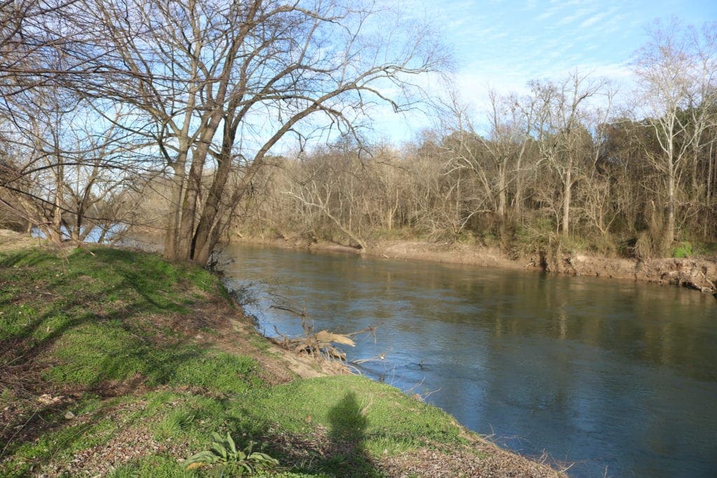 Chattahoochee River at the mouth of Nickajack Creek