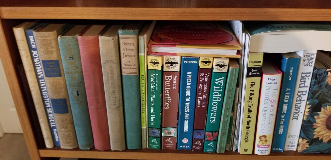 Cobb GIS identifies the most popular adult fiction by Cobb library