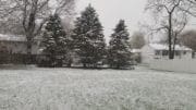 snow this morning in Albany NY