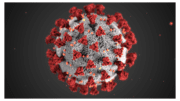coronavirus image -- a white sphere with red corona spikes emanating outward