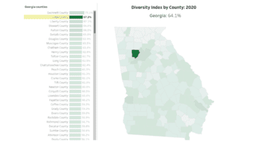 screenshot of Georgia diversity index map with Cobb selected