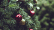 detail of Christmas tree with decorations