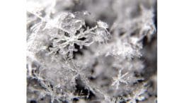 closeup of snowflake