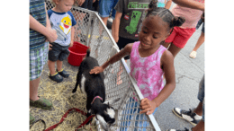 little girl pets goat