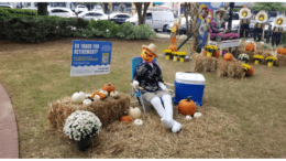 A scarecrow in a lounge chair surrounded by pumpkins