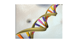 image of a DNA double helix