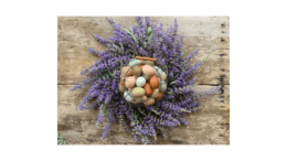 A bunch of colorful eggs surrounded by a spiral swirl of lavender stems and flowers