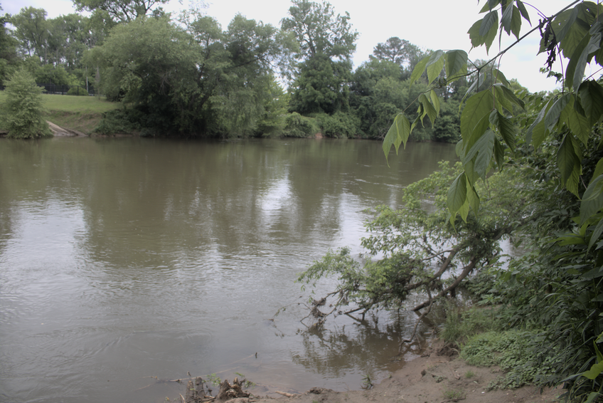 A view of the river from the bank