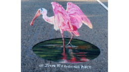 A very detailed chalk drawing of a pink flamingo beginning to spread its wings
