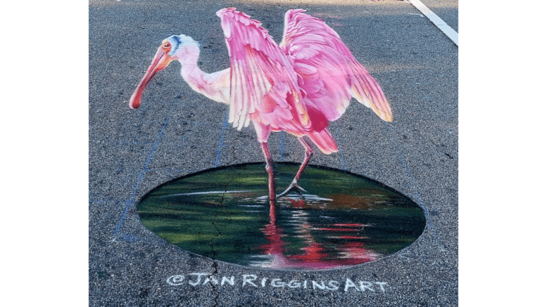 A very detailed chalk drawing of a pink flamingo beginning to spread its wings