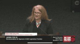 Screenshot of Gretchen Walton, an assistant superintendent in the Cobb County School District, speaking on the district's legislative priorities