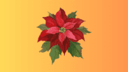 Drawing of a poinsettia, with radial red petals and radial green leaves