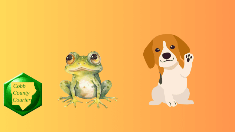 a cartoon frog alongside a cartoon dog