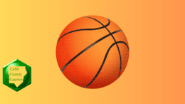 A drawing of a basketball
