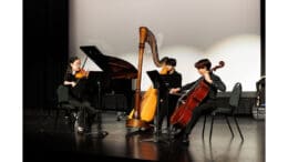 A string trio featuring violin harp and cello