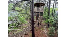 A plank and rope bridge leading to a cupola-shaped treehouse