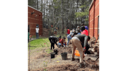 People planting trees in a raised bed running the length of a brick building side