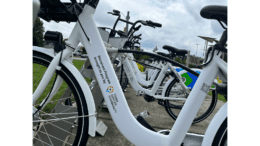 A row of white bicycles on rideshare racks