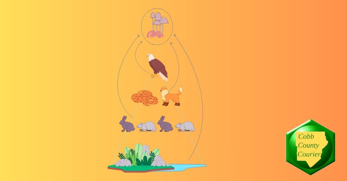 No animal alive today is ‘primitive’ – why are so many still labeled that way?