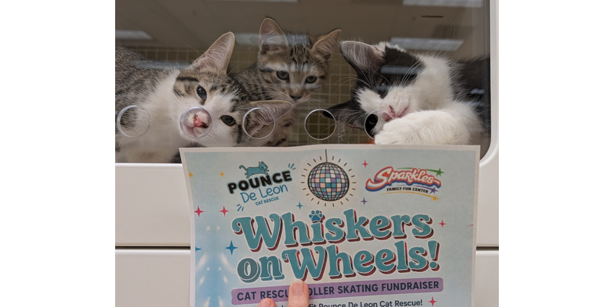 Whiskers on Wheels